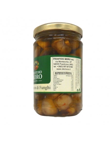 LATO2-bocconcini-funghi