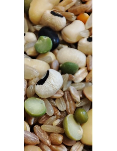 zuppa-rustica-oliomoro-macro