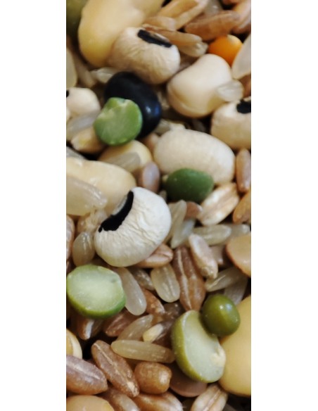 zuppa-rustica-oliomoro-macro