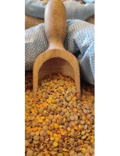 zuppa-cremosa-oliomoro 2