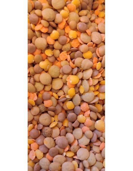 zuppa-cremosa-oliomoro_macro