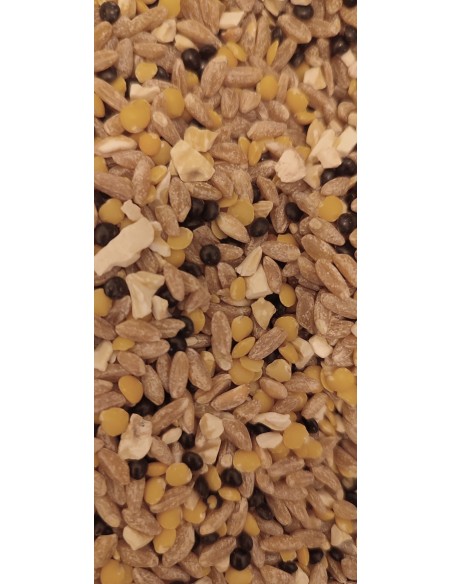 ZUPPA-DEL-BOSCO-OLIOMORO_macro