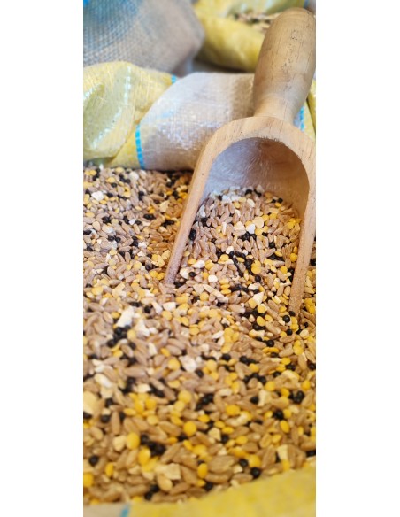 ZUPPA-DEL-BOSCO-OLIOMORO_sfusa