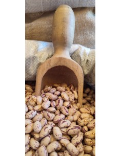 BORLOTTI-ITALIANI-OLIOMORO 2