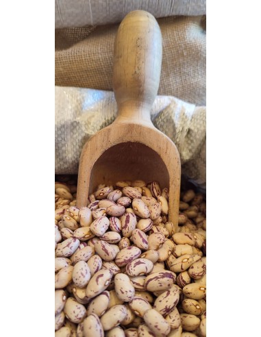 Fagioli Borlotti 500g