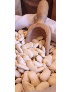 FAGIOLI-CORONA 2