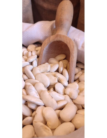 FAGIOLI-CORONA-SFUSI