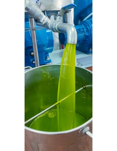 Extra virgin olive oil not filtered, new campaign