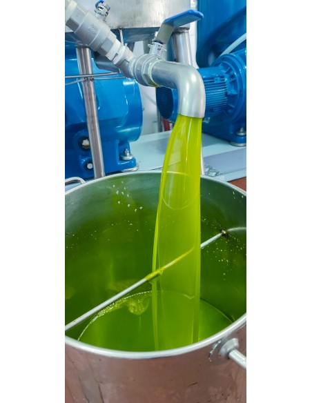 Extra virgin olive oil not filtered, new campaign