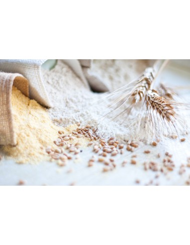 Flour Type "0" 1 kg of Tuscan Wheat