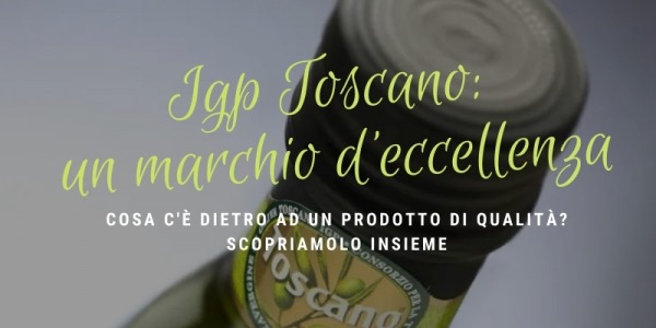 Igp Toscano: un marchio d’eccellenza |Oliomoro