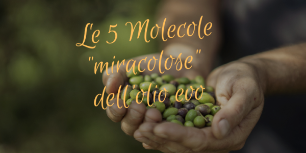 le 5 molecole "miracolose" dell'olio evo