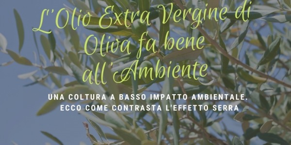 L'Olio Extra Vergine di Oliva fa bene all'Ambiente | Oliomoro