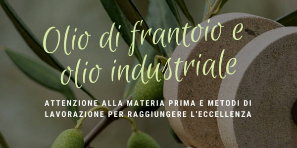 Perché l’olio di frantoio è più pregiato di quello industriale